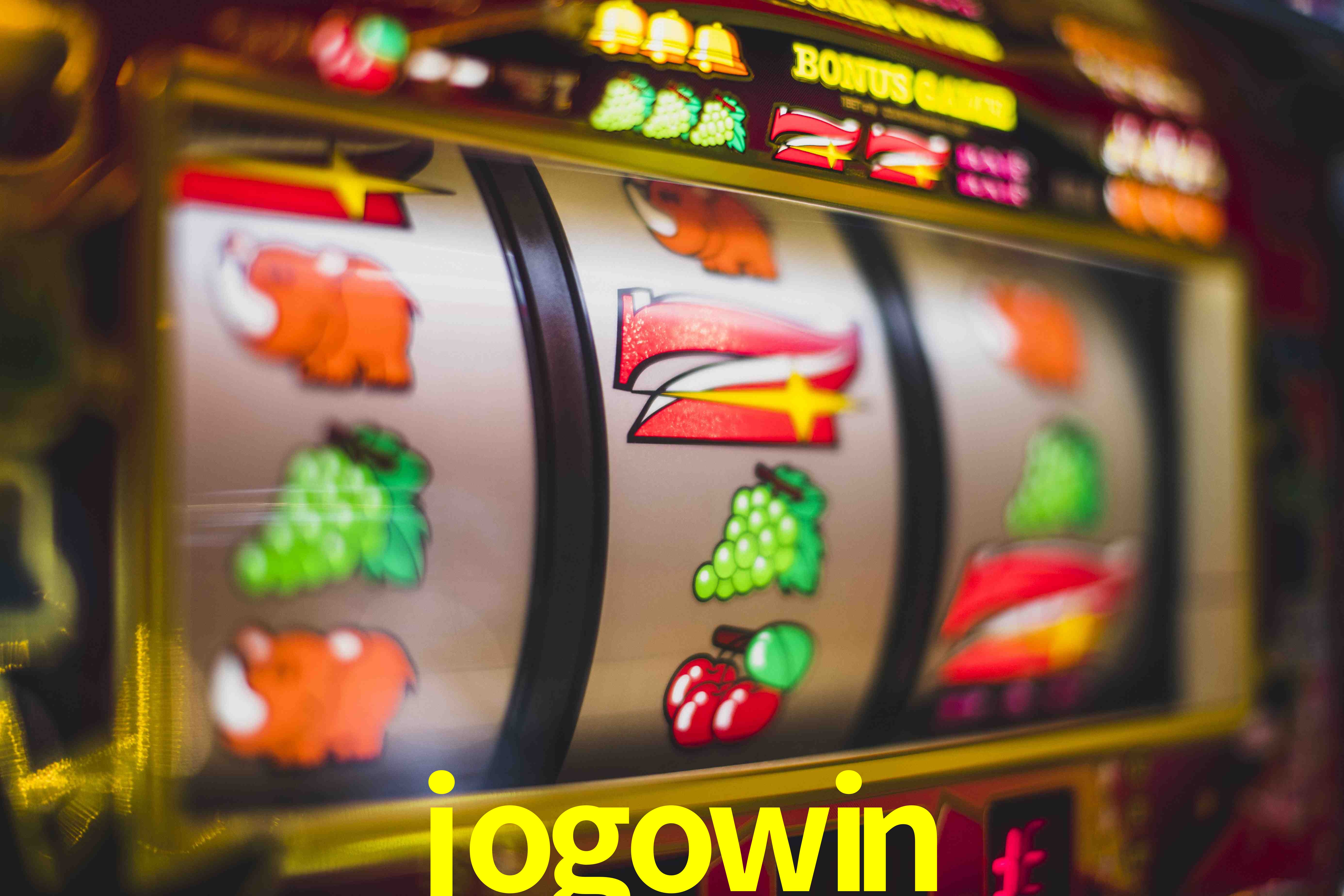Daily Bonuses jogowin